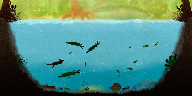 Play God With Otters: Free Lake Simulator Among Ripples