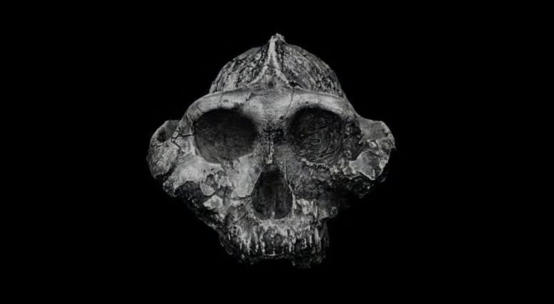 Player choices in Ancestors: The Humankind Odyssey impact tribe or family unit created