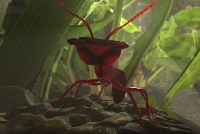 Ant Simulator developer accuses partners of stealing money for booze, strippers