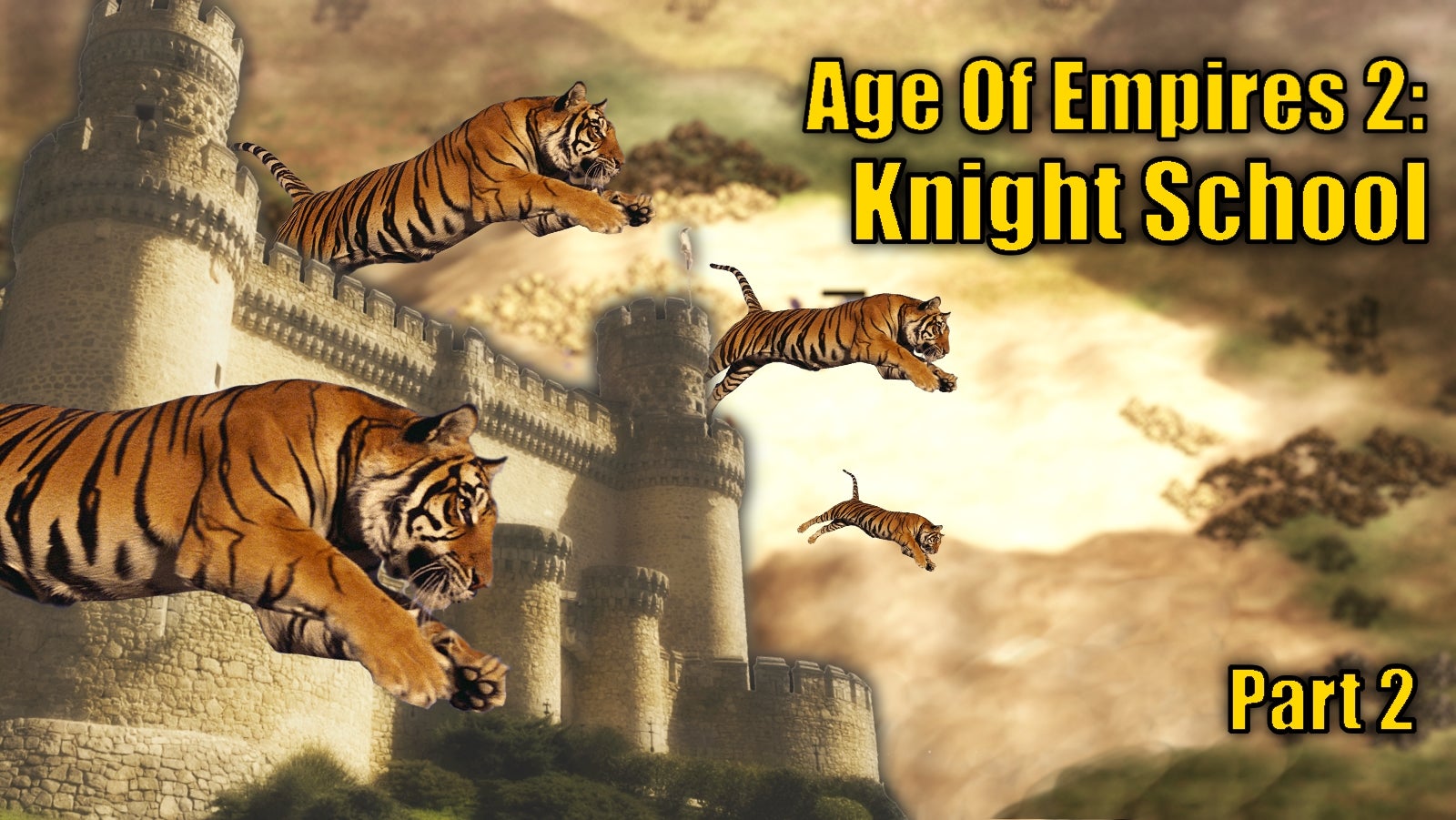 How I won my first ranked Age Of Empires 2 game