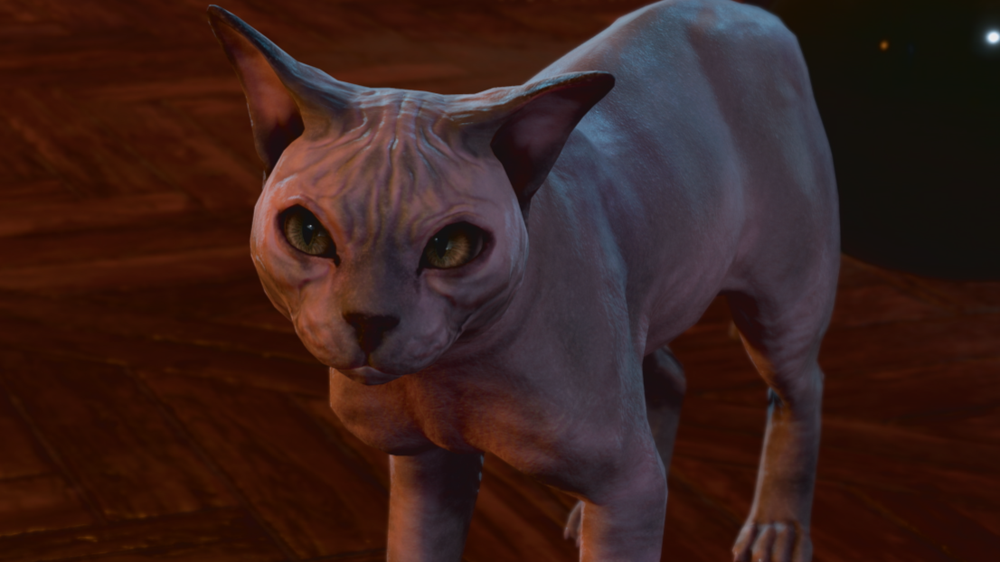 Latest Baldur's Gate 3 hotfix makes His Majesty the cat bald once again