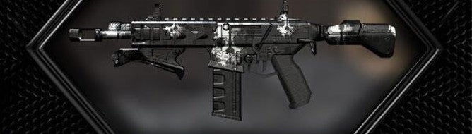 Black Ops 2: Call of Duty Ghosts weapon camo could come to PC, next update in works