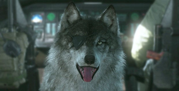 MGS V dog