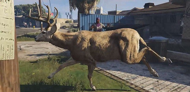 Artificial Life: Grand Theft Auto V's Live Deer Webcam