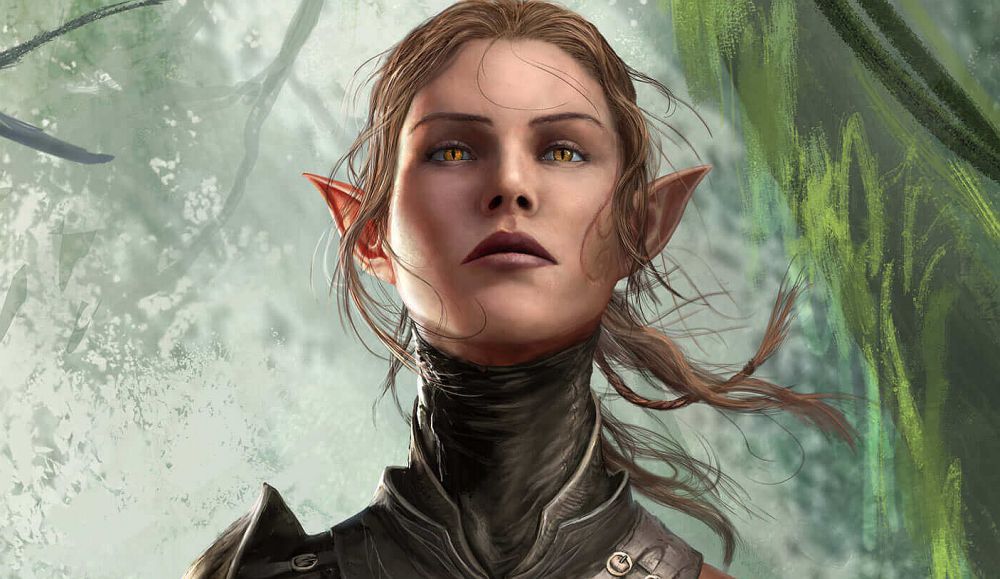 Divinity: Original Sin 2 players to receive free goodie bags throughout the year