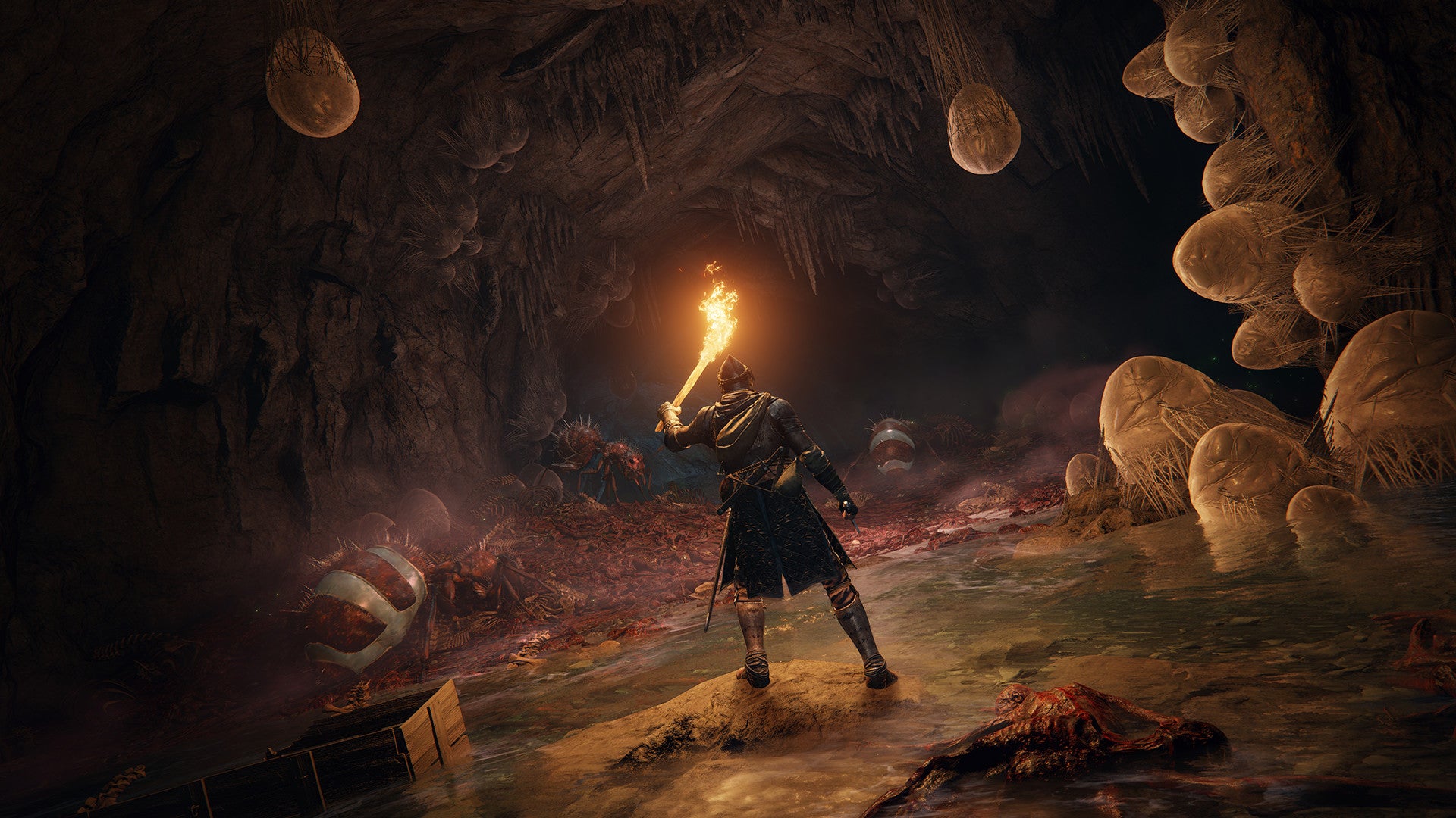 After Elden Ring and Armored Core 6 successes, FromSoftware is gearing up for "multiple new projects"