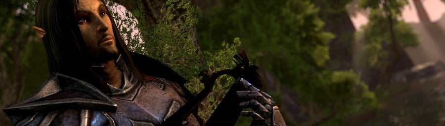 Elder Scrolls Online developer video explores group content