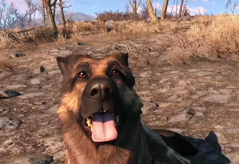 "Tolerance for technical issues" needed to fully enjoy Fallout 4, says Digital Foundry