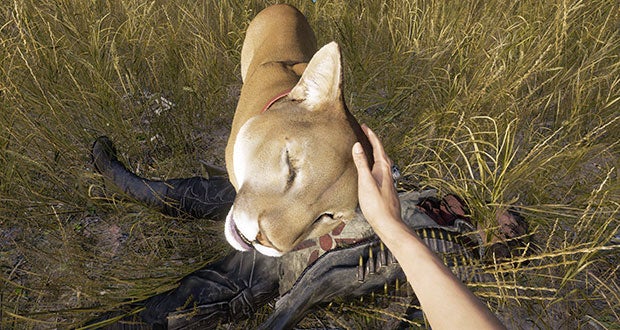 Far Cry 5's best followers