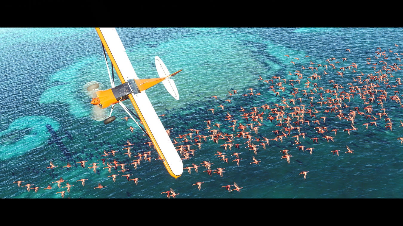 Microsoft Flight Simulator will feature "all the airports in the world"