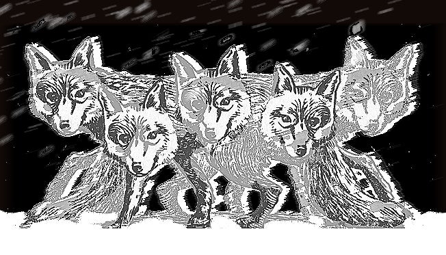 The Flare Path: A Flurry Of Foxers