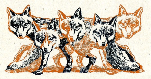 The Foxer