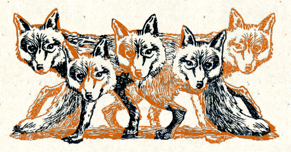 The Flare Path: A Phantasmagoria Of Foxers