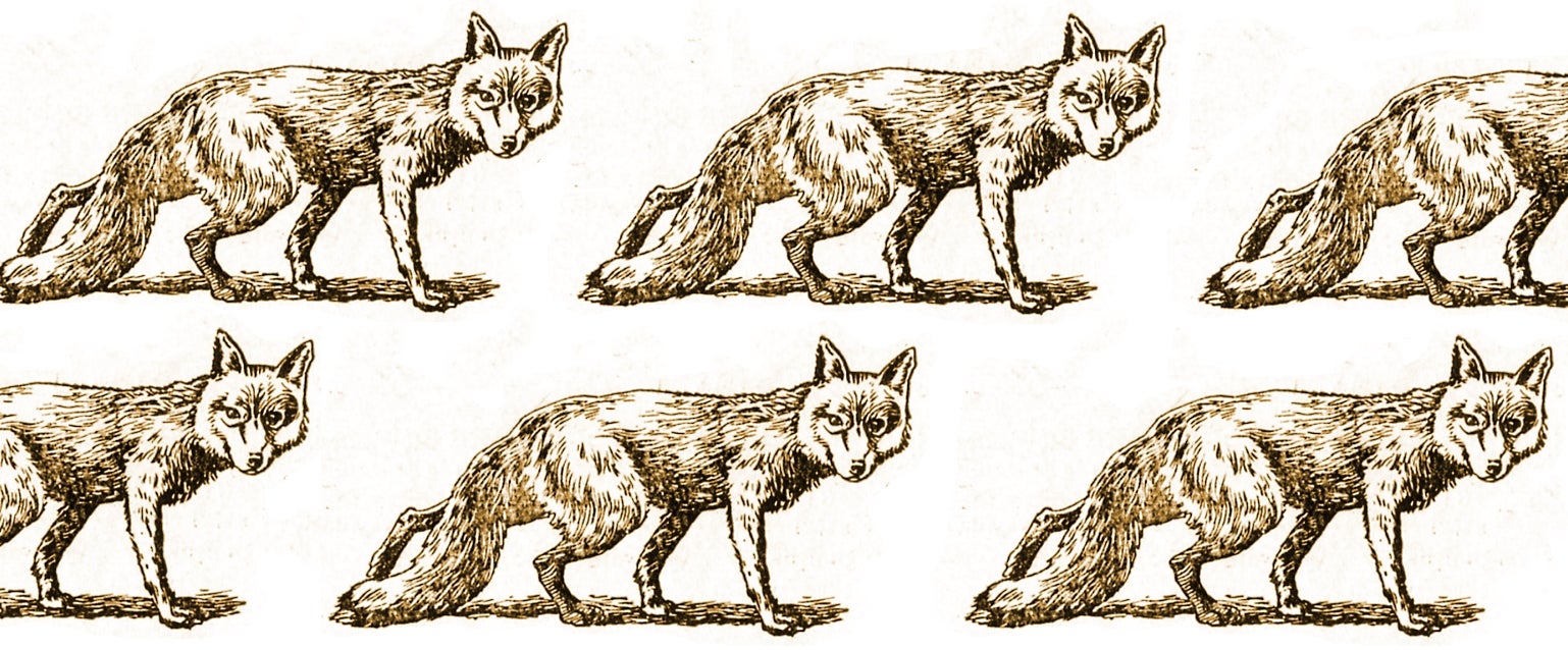 The Flare Path: A Skulk Of Foxers