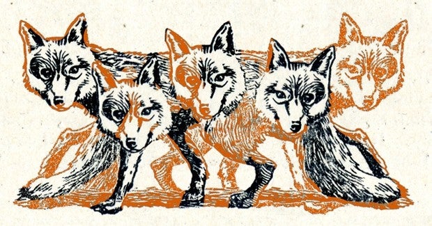 The Foxer