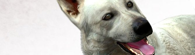 Haunting Ground rated for PSN by ESRB