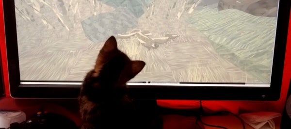 World Exclusive Shelter Video Review (By A Kitten)