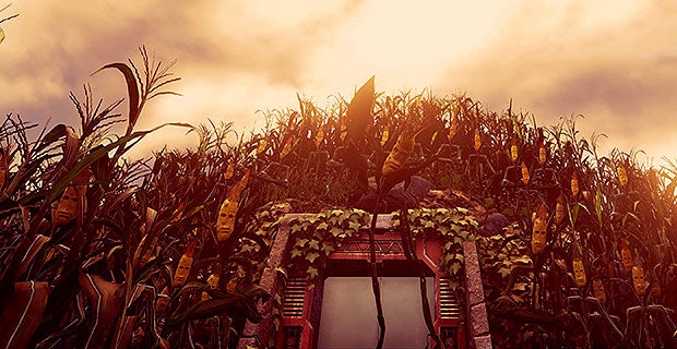 Maize-game