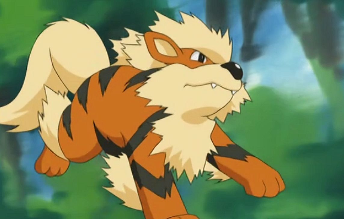 Pokemon Go players walk shelter dogs, save abandoned pets, enjoy wildlife sightings