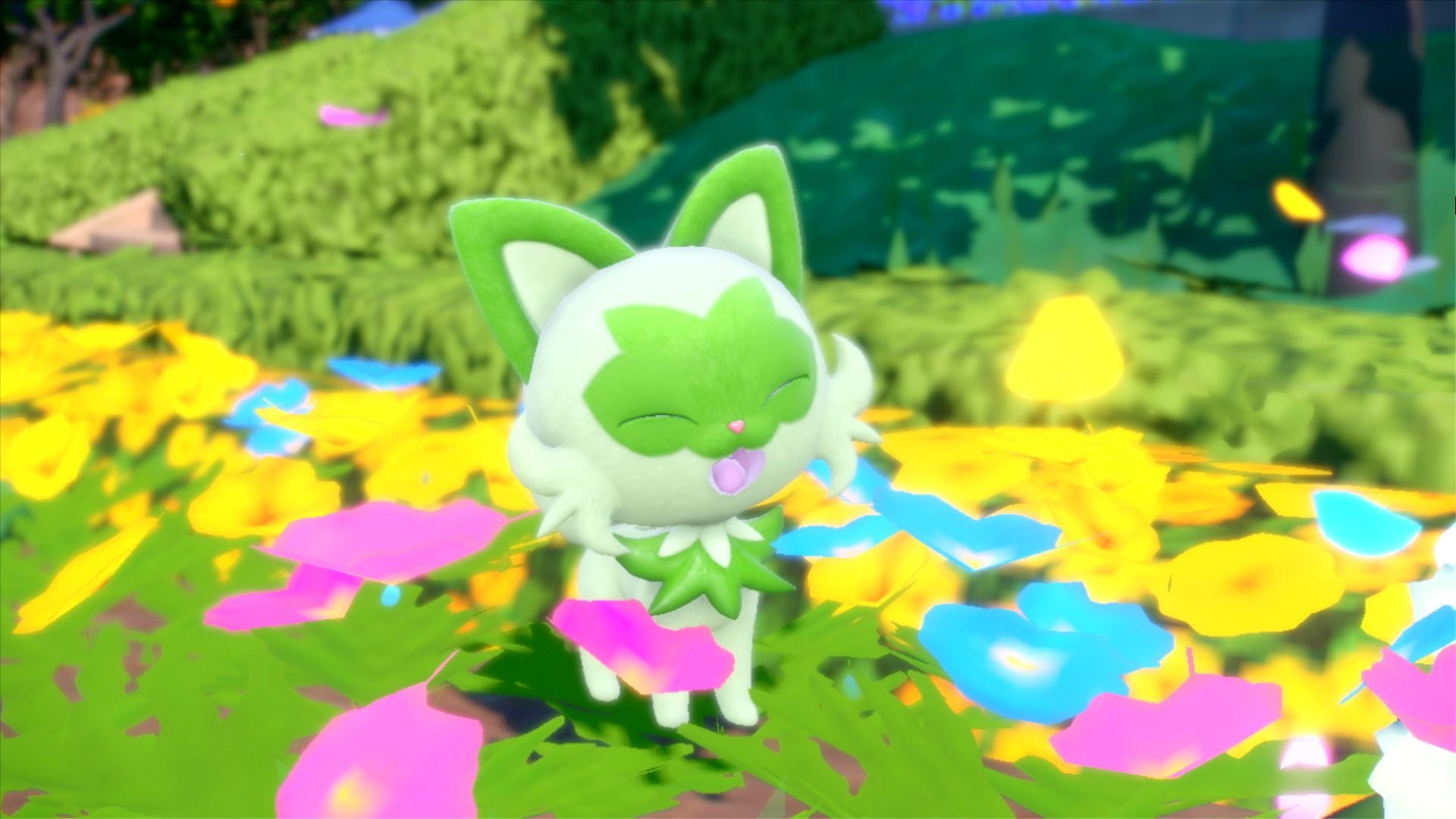 Watch today's Pokemon Day Pokemon Presents live stream here