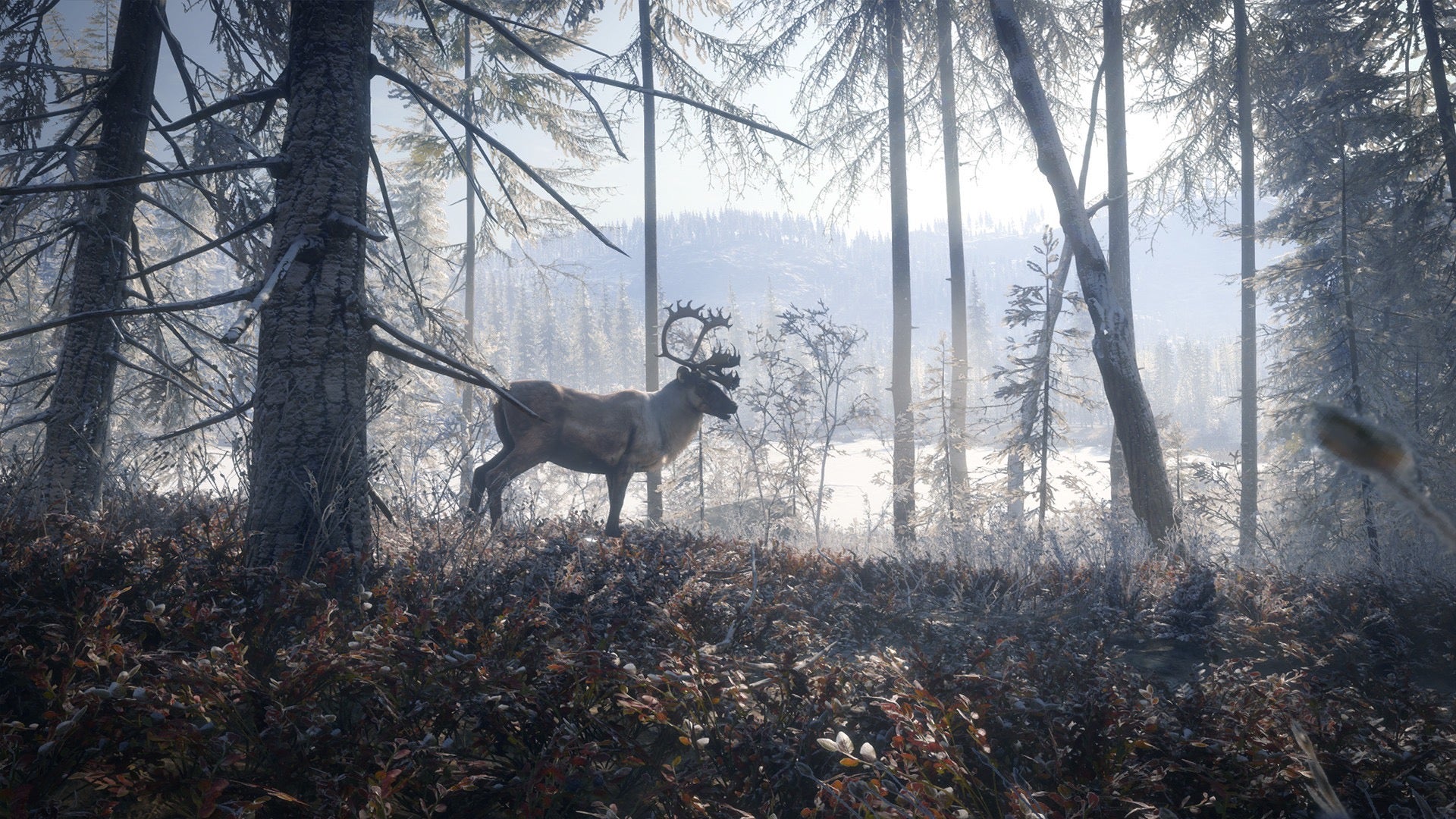 How theHunter: Call of the Wild simulates wild animals