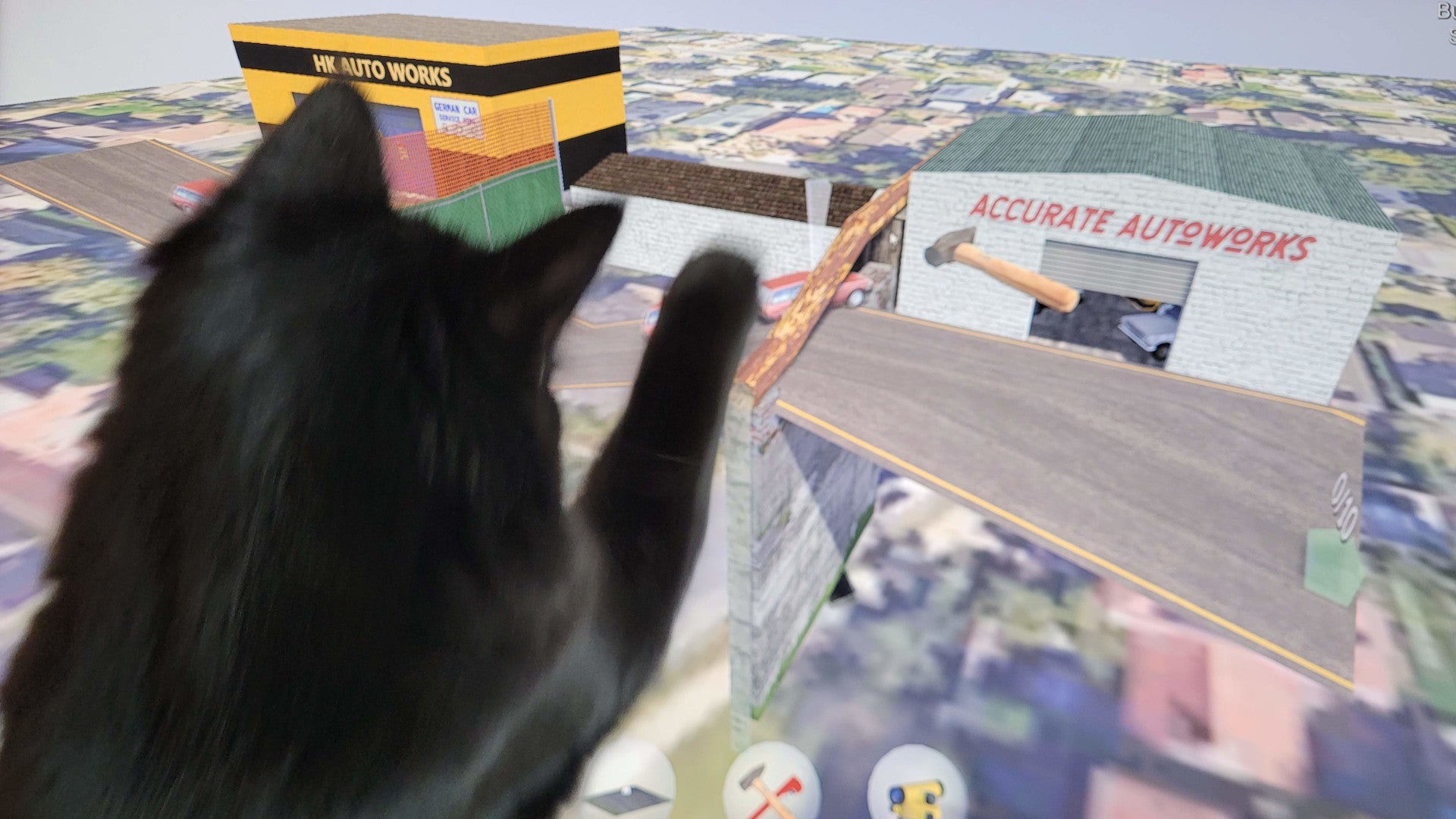 My kitten has a new favourite video game