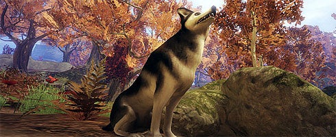 Fable II sees the future in new shots