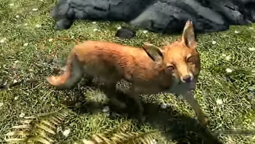 Skyrim's myth of the treasure fox finally explained