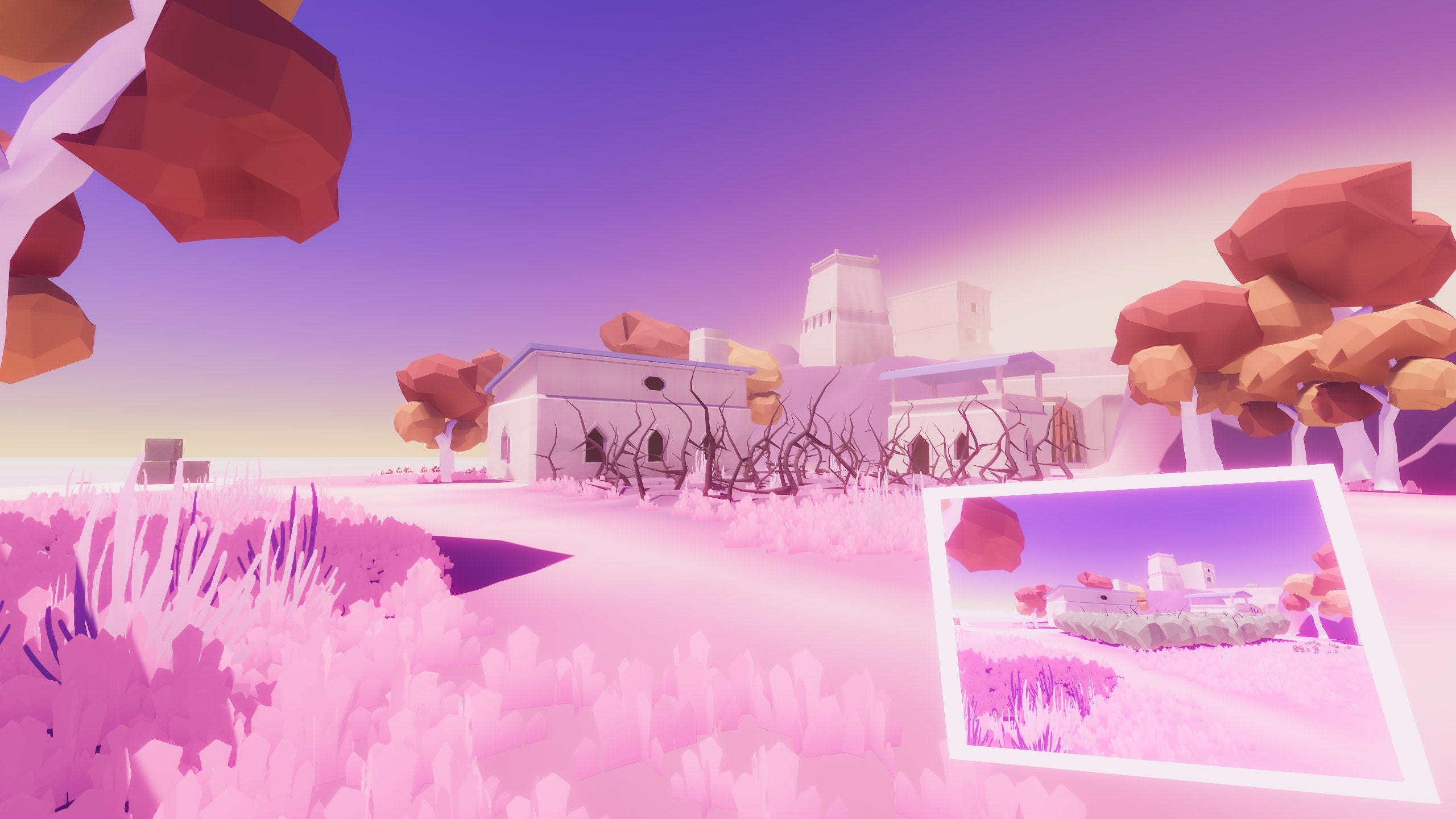 Snapdragon is a neat photography puzzler
