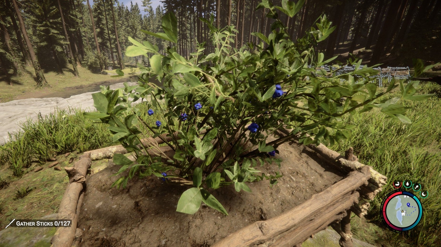 I built a blueberry farming empire in Sons Of The Forest