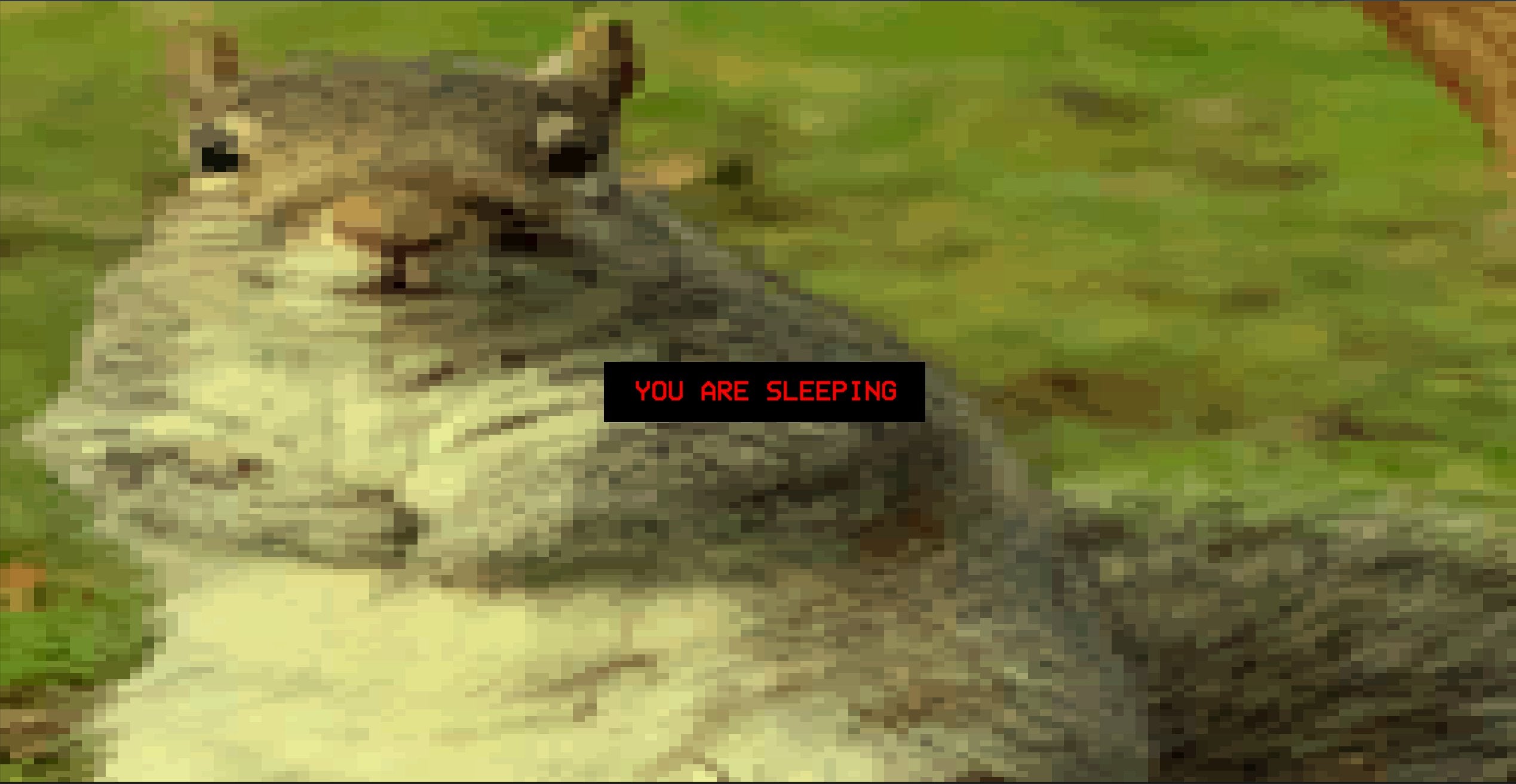 Screenshot Saturday Sundays: Mapmakers, mushrooms and unfortunate fashion