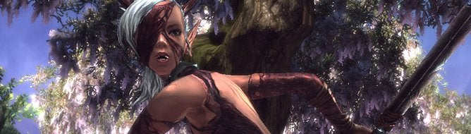 NCsoft files lawsuit to block the release of TERA in the US