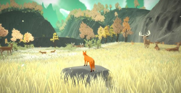 The First Tree released