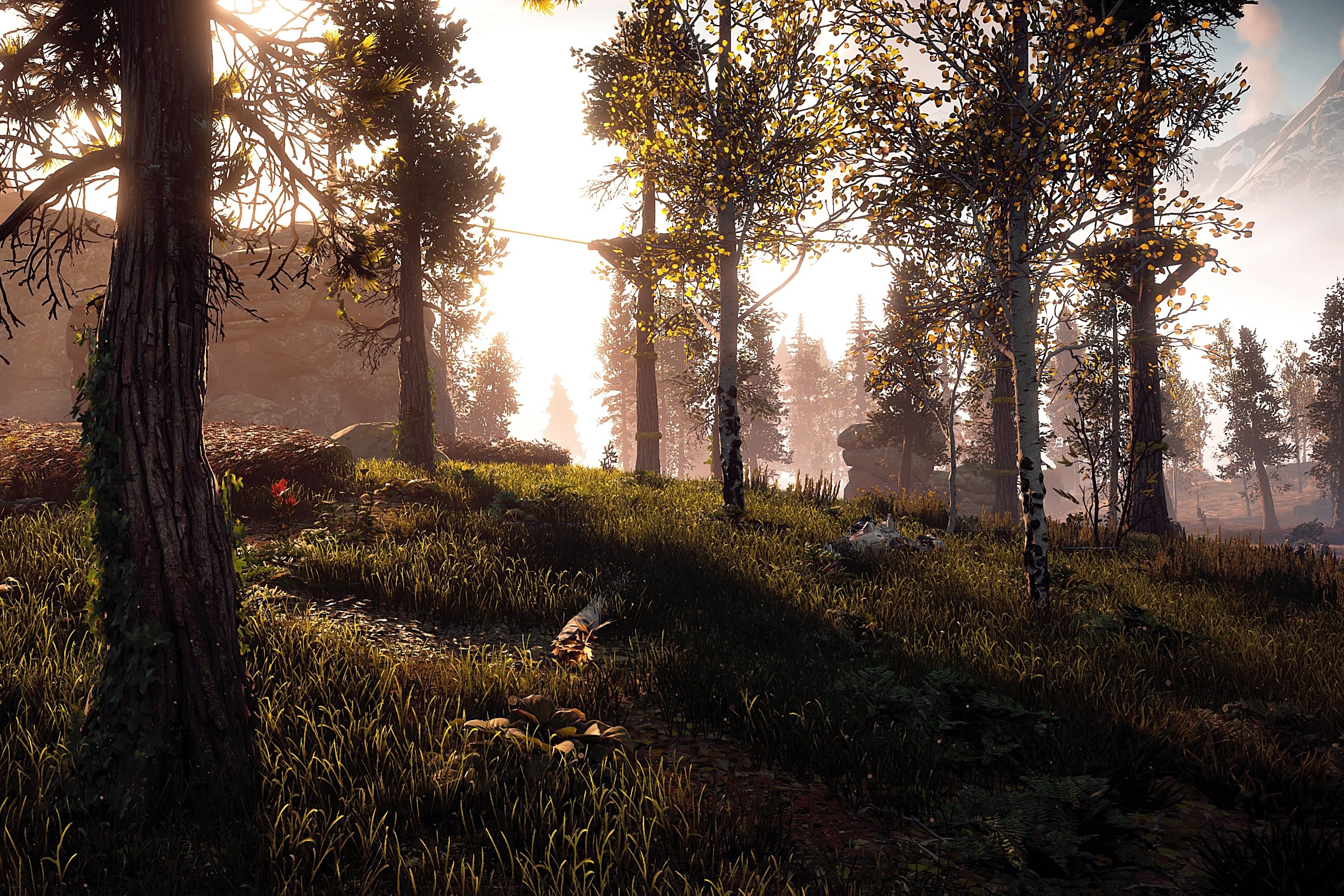 The power of spring in Horizon Zero Dawn, Everybody's Gone to the Rapture and The Last of Us