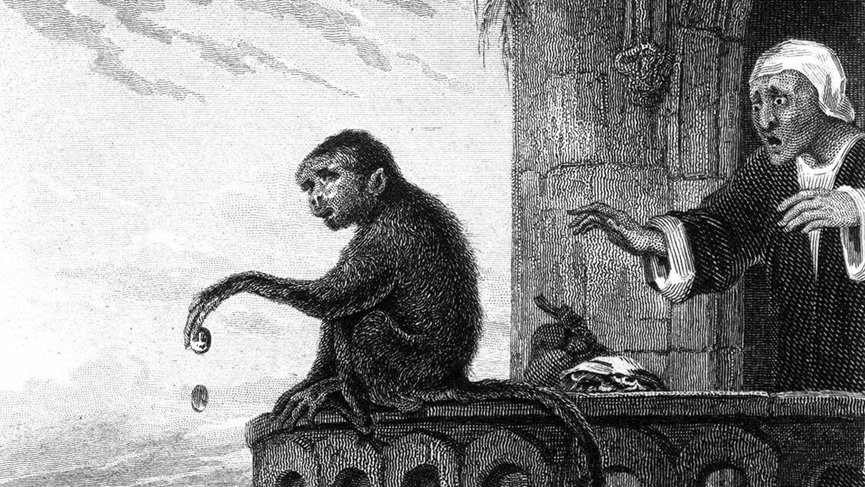 We've increased our freelance rates, so come write for us