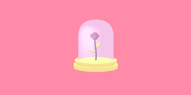 Vignettes offers a new look at familiar objects