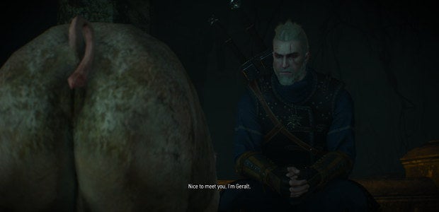 The Witcher 3 Explores A Village For Pigs In New Free DLC
