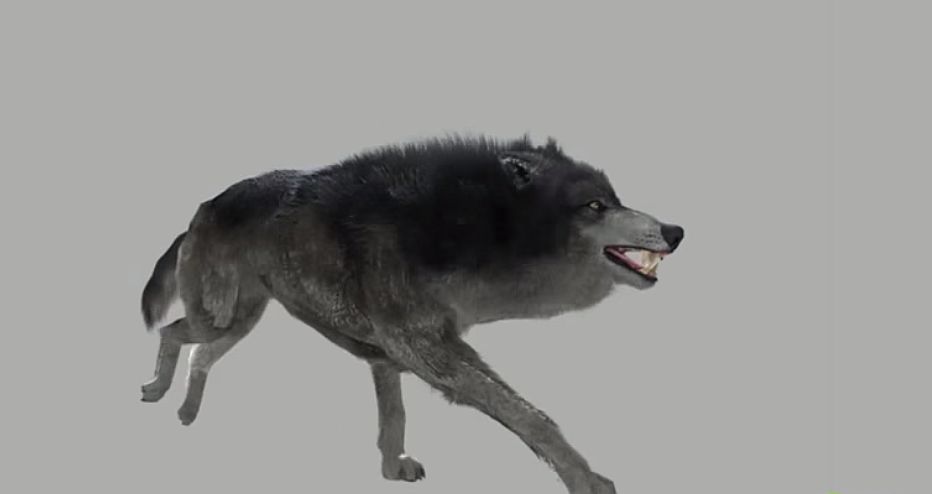 Wolves in The Witcher 3 are super hairy thanks to NVIDIA HairWorks