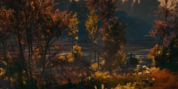 The Witcher 3 Has Superb Trees