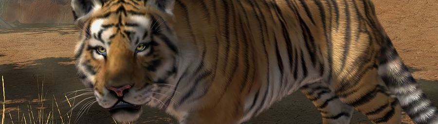Zoo Tycoon Xbox One disc version will launch November 22 as timed exclusive at Walmart