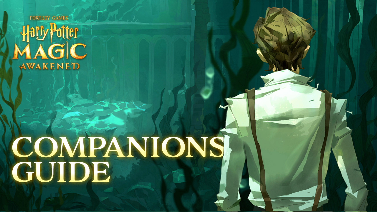 Harry Potter: Magic Awakened – List of All Available Companions and their Abilities