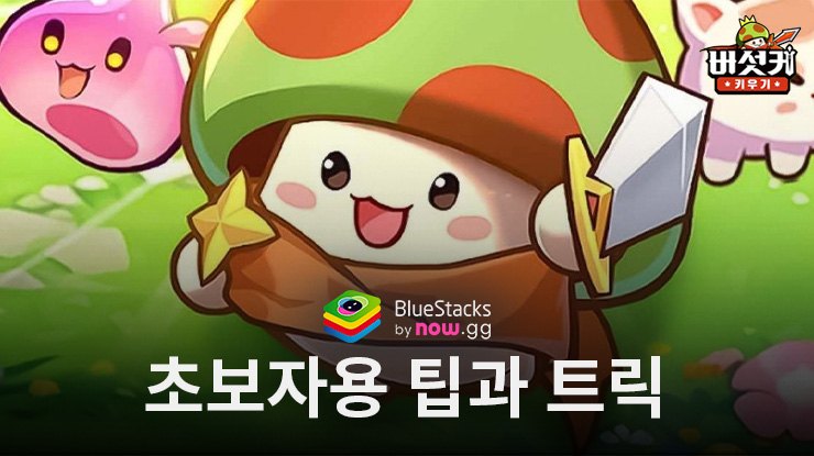 버섯커 키우기 - 머슬페페 증정: 새로운 플레이어를 위한 컨텐츠들 소개와 스킬 조합 및 공략법