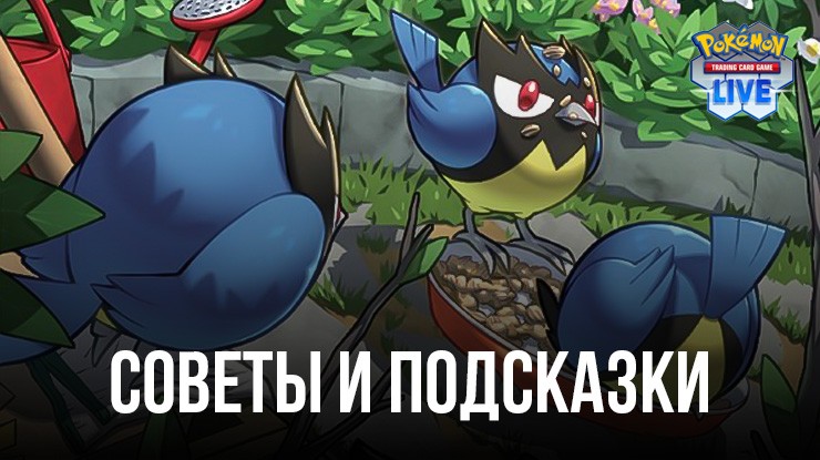 Советы и подсказки по игре Pokémon TCG Live