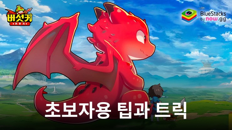 버섯커 키우기 - 머슬페페 증정: 새로운 플레이어를 위한 직업 소개와 스킬 전략