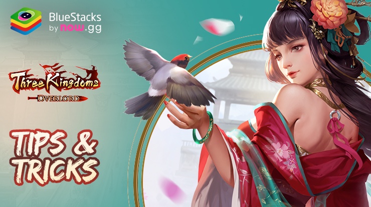 Three Kingdoms: Overlord Tips and Tricks to Conquer the World