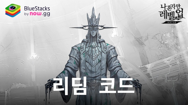나 혼자만 레벨업: 어라이즈 - 2024년 6월에 유효한 사용 코드 도입