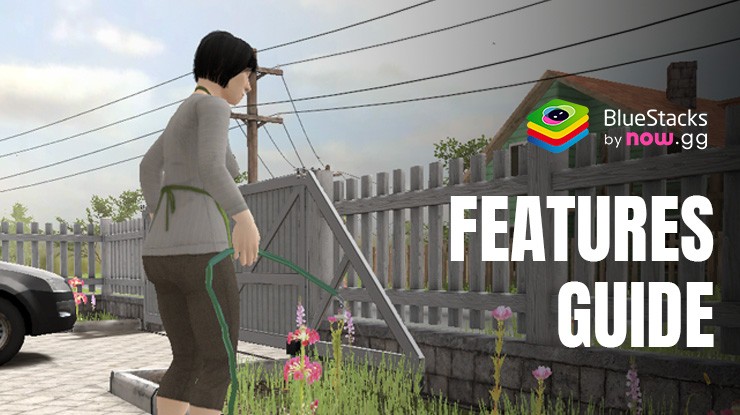 Features for Perfect Escapes in SCHOOLBOY RUNAWAY – STEALTH