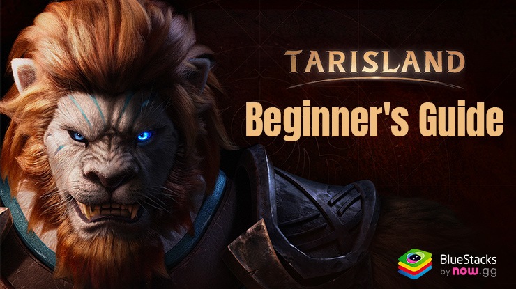 Tarisland Beginner's Guide to Set You Up for a Great Start