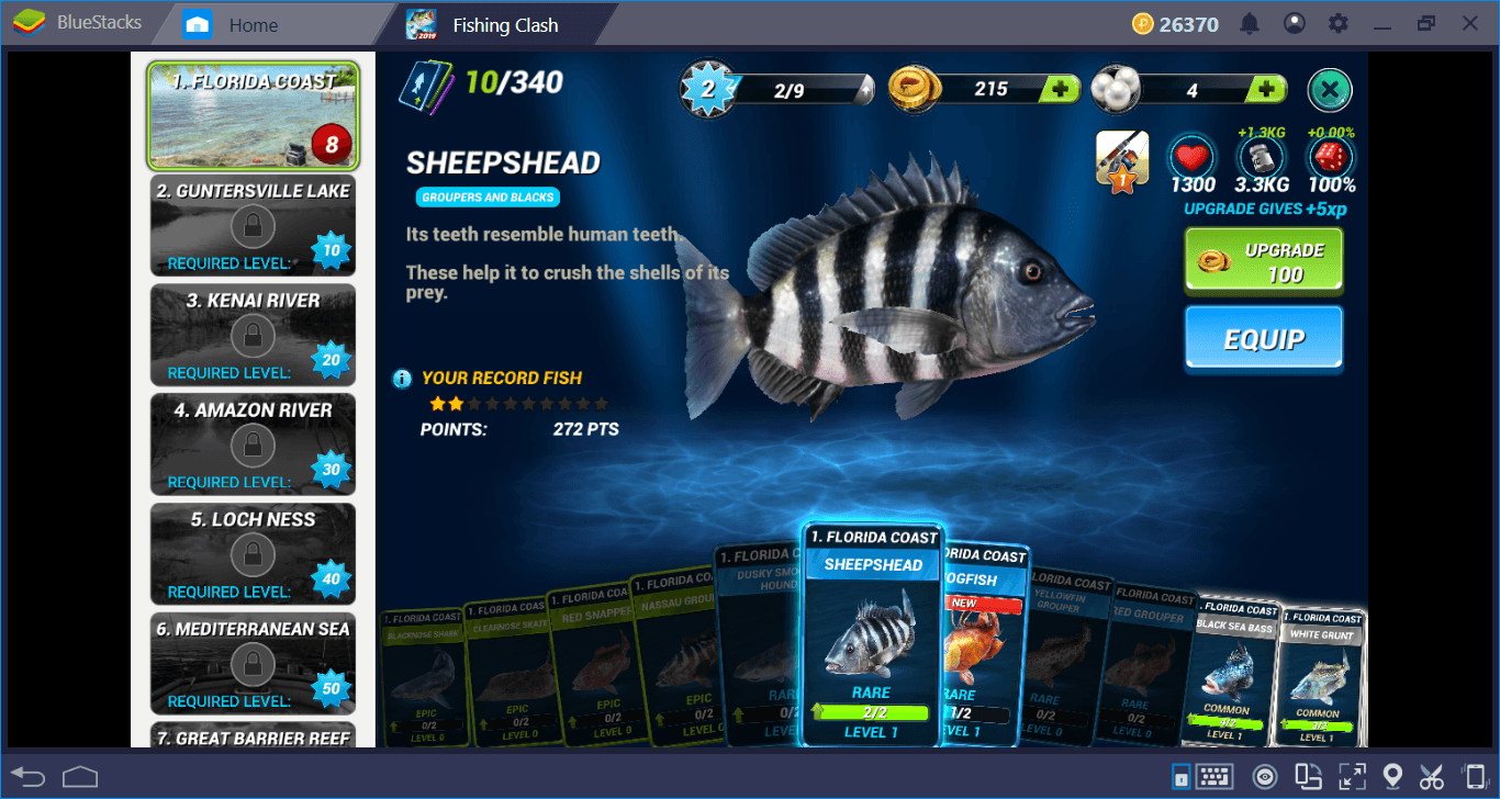 Fishing Clash Tips And Tricks: Become The Master Fisher 4