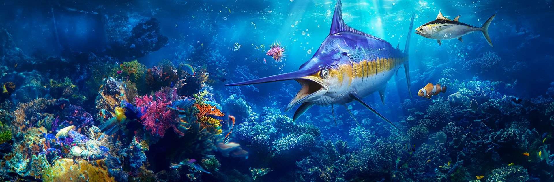 歡樂釣王傳奇:體感拋竿釣魚